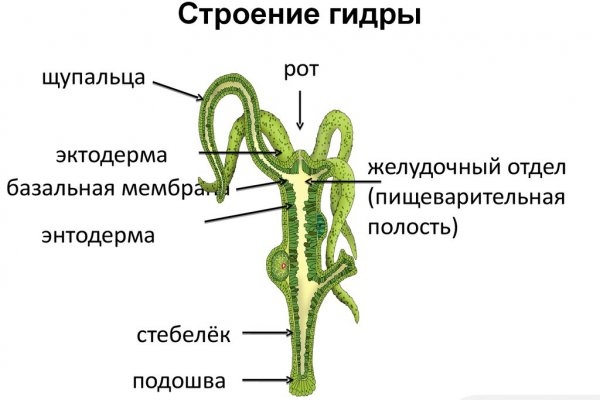 Kraken актуальные ссылки официальный сайт