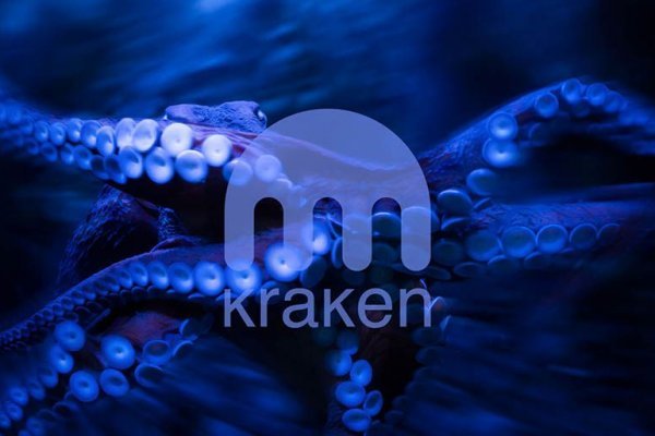 Kraken darknet ссылка