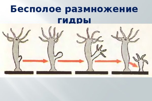 Kraken 12at сайт